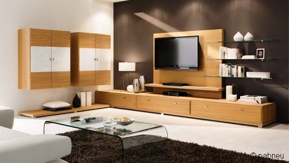 Modernes Wohnzimmer mit Holz Wohnwand, Fernseher, Glas-Couchtisch und Dekoration.